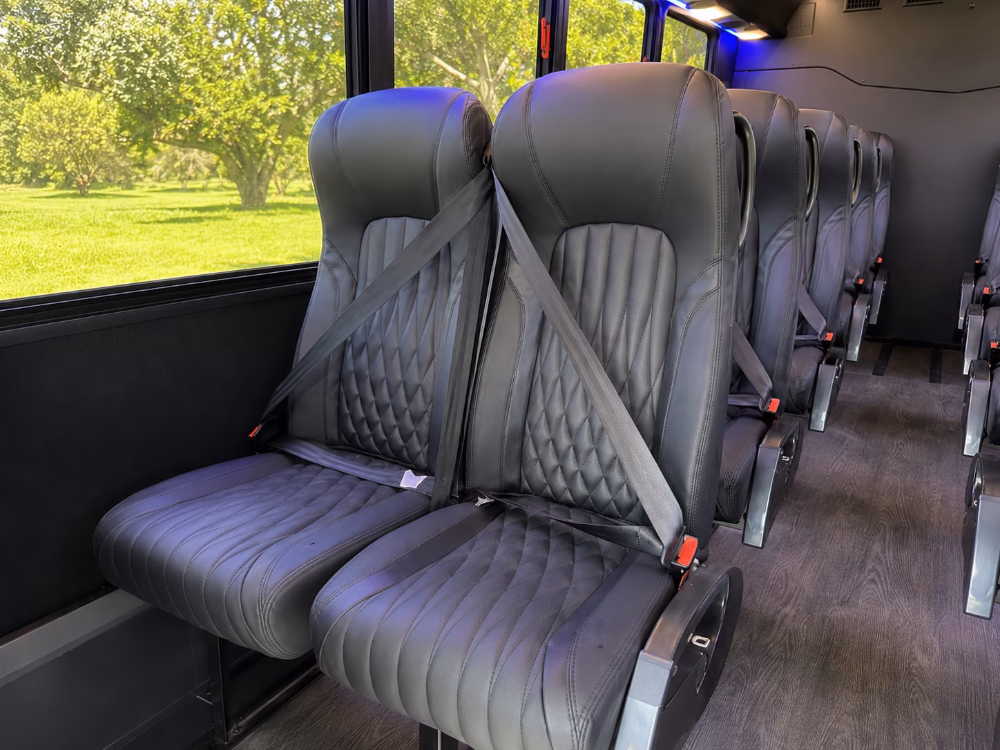 sterling heights book group transportation to sterling heights concerts