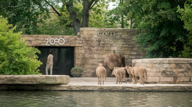 detroit zoo
