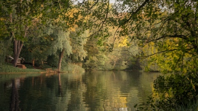 kellogg woods park